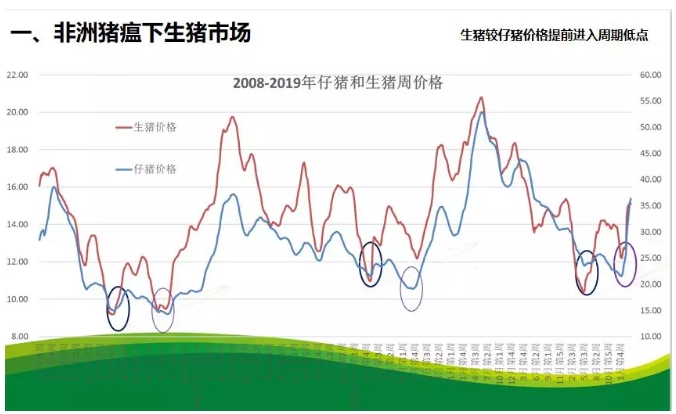 猪肉最新动态，市场走势、健康趋势与未来展望