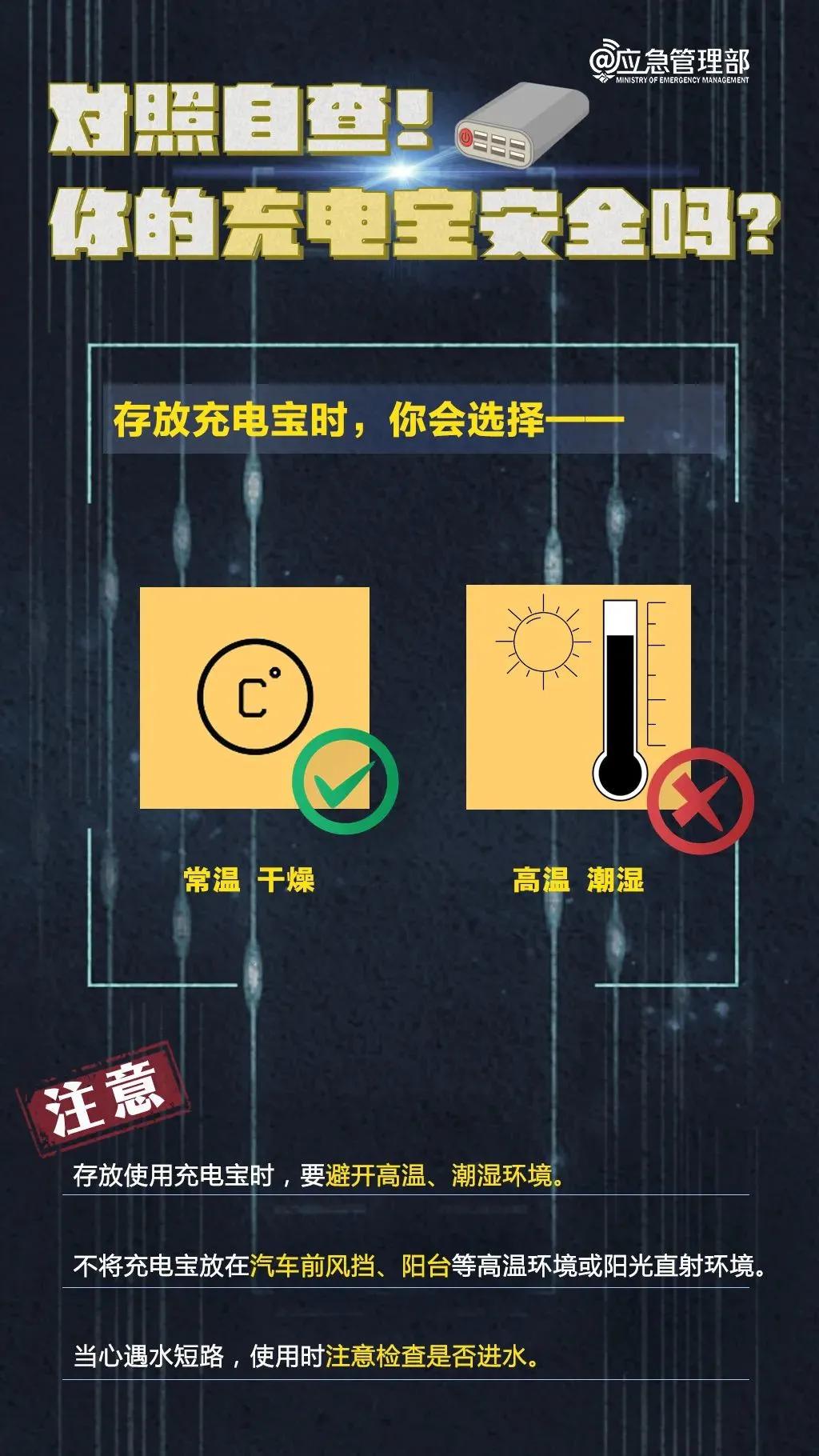 音乐扒手官网最新资讯与深度解读