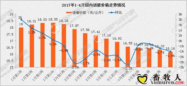 猪的价格最新动态，市场走势分析与预测