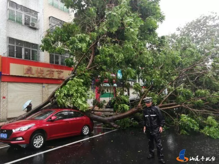 汕尾市台风最新动态及应对措施