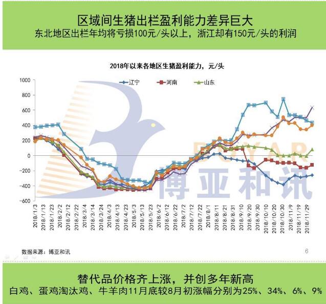 非洲最新动态，探索时代变迁下的非洲大陆