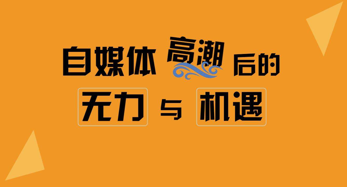 独家揭秘，自媒体背后的故事与成长之路