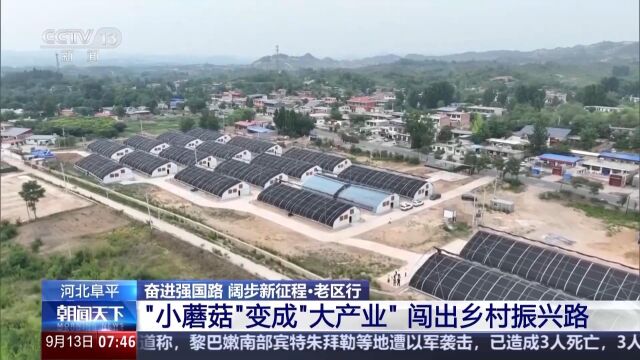 汝州市七里村的最新变化与振兴之路