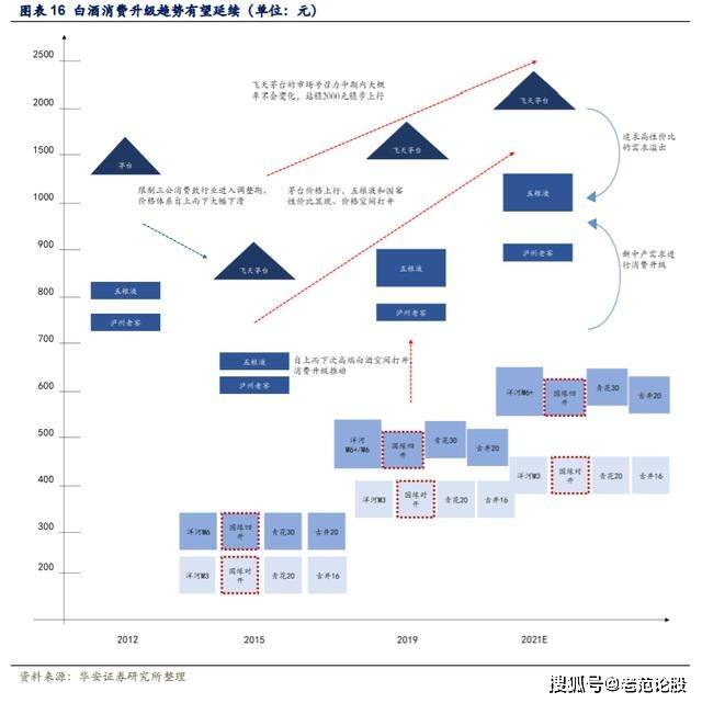 南交最新动态，深度解析其发展历程与未来展望