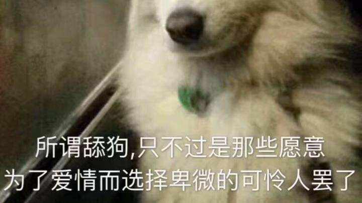 舔狗现象背后的真相深度解析