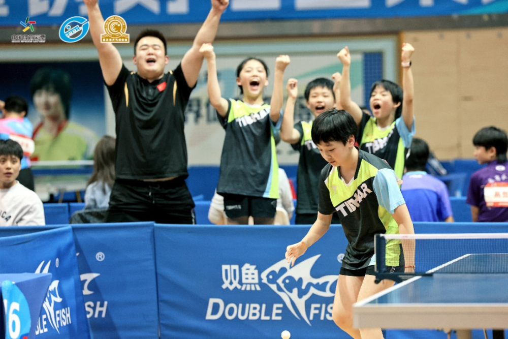 最新国乒新闻，新一代领军人物崭露头角，乒乓球强国续写辉煌篇章