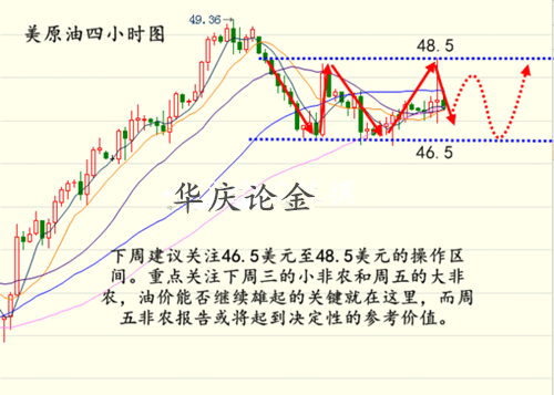 期期中最新，深度解析当下热点事件与趋势