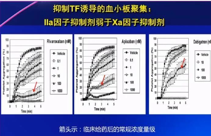 东山再起 第4页