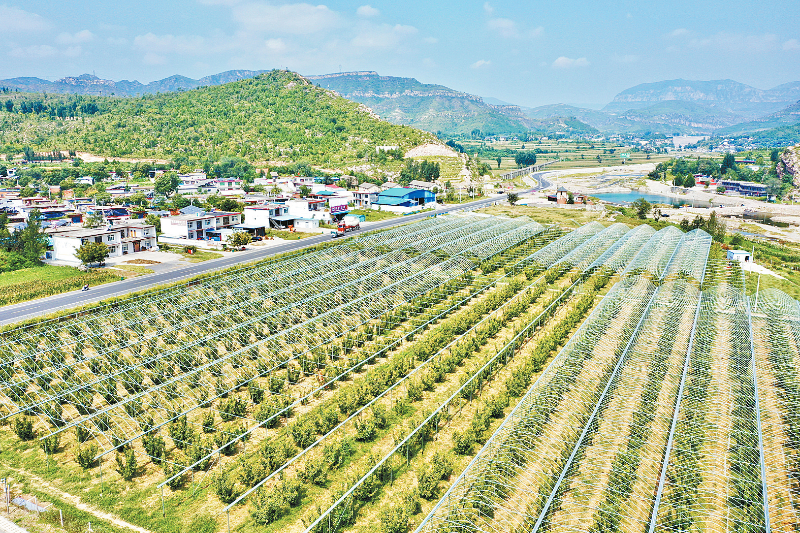 景东县白兆雄，最新农业科技引领者，助力乡村振兴(景东白姓网)