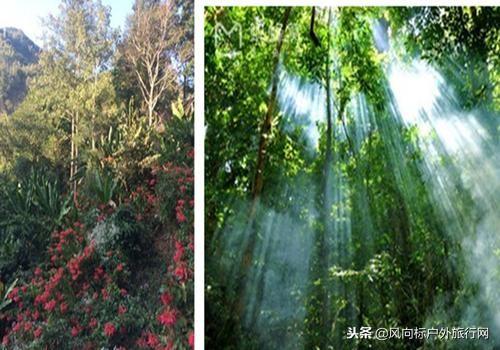 探秘保亭雨林一号，揭开最新生态居住典范的神秘面纱(保亭雨林一号最新施工动态)