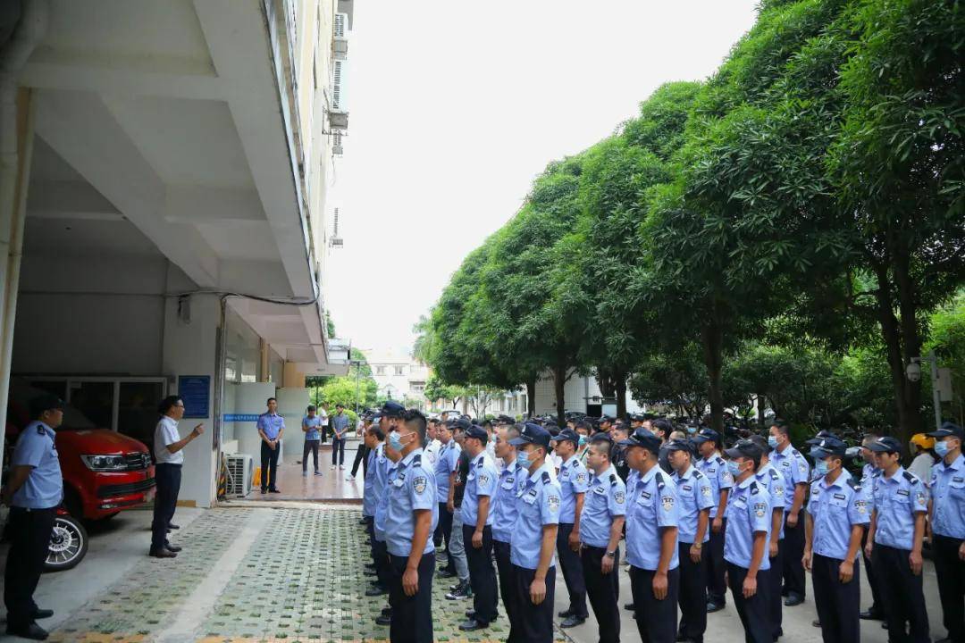 合肥打传最新动态，坚决打击传销，守护市民财产安全(合肥打传最新消息)