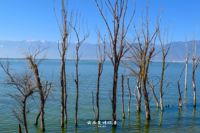 秦思瑶陆子礼，最新动态揭秘，甜蜜爱情故事续写(陆瑶秦子易免费阅读)