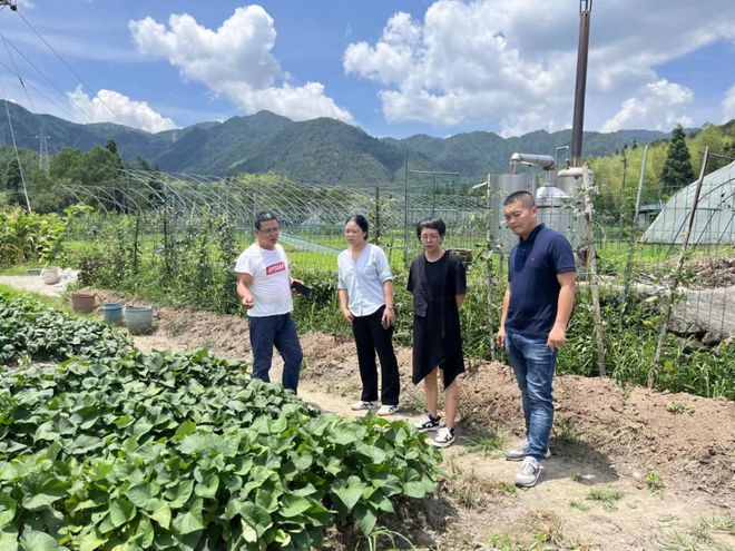 幕阜山旅游开发新篇章，绿色生态旅游助力乡村振兴(幕阜山开发最新消息)