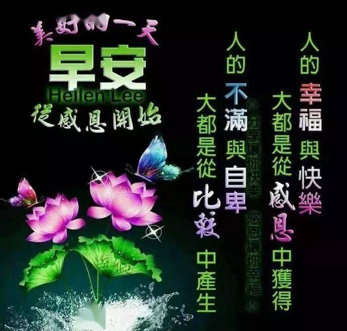 爱话语最新解析，如何用温馨的话语传递真挚的情感(爱 语句)