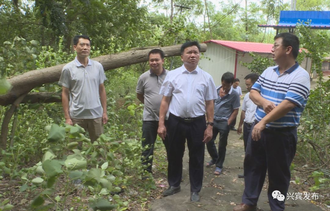 佛山台风最新动态，严密防范，确保人民群众生命财产安全(佛山台风最新消息2024年)