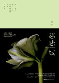 丁墨最新力作，无尽光明