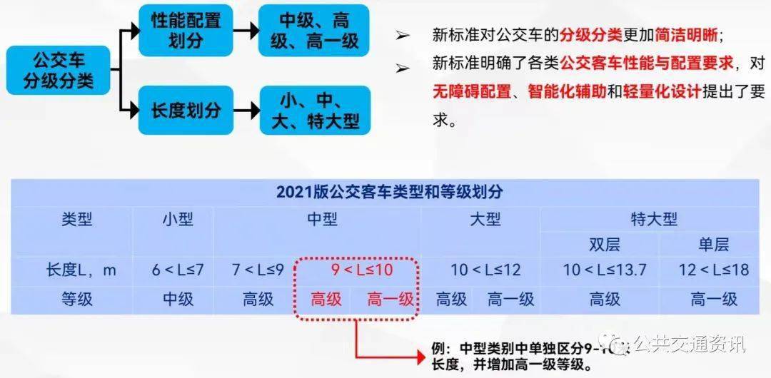 白胡子最新动态，揭秘他的成长历程与未来展望