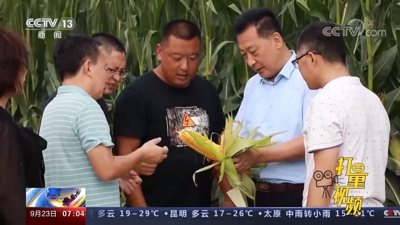 莱州最新动态与热点解析