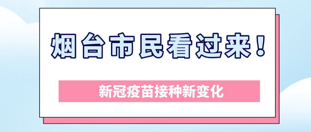 黄梅最新，探索新时代下的魅力与变迁