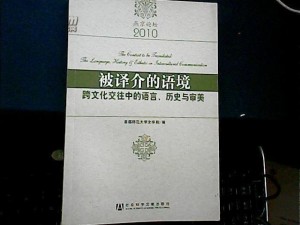 翻译最新，全球语境下的跨文化交流与语言挑战