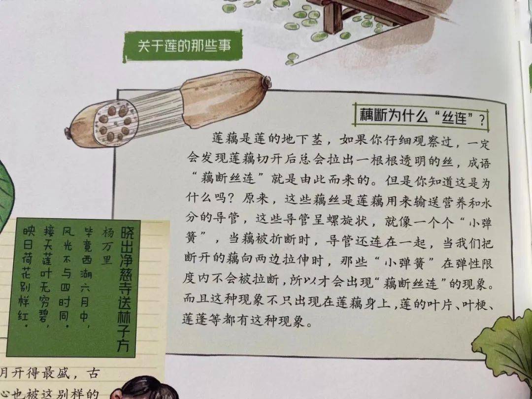 推荐阅读，最新出版的十本值得一读的好书（附详细书评）